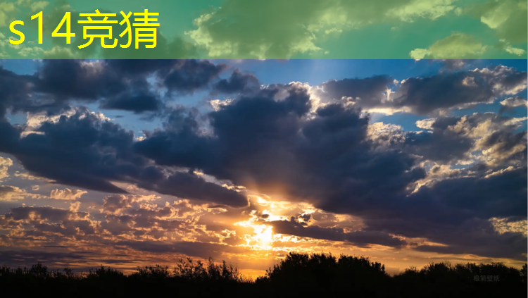 胜游官网：专业电竞网是多少兆的